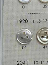 1920 BOTTONI DAIYA Bottone In Poliestere Con 3 Fori Tsu[Pulsante] DAIYA BUTTON(DAIYA BUTTON) Sottofoto