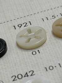 1921 BOTTONI DAIYA Bottone In Poliestere Con 5 Fori Tsu[Pulsante] DAIYA BUTTON(DAIYA BUTTON) Sottofoto