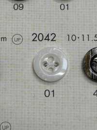 2042 BOTTONI DAIYA Bottone In Poliestere Tono Conchiglia[Pulsante] DAIYA BUTTON(DAIYA BUTTON) Sottofoto