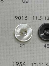9015 BOTTONI DAIYA Bottone In Poliestere Tono Conchiglia[Pulsante] DAIYA BUTTON(DAIYA BUTTON) Sottofoto