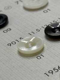 9015 BOTTONI DAIYA Bottone In Poliestere Tono Conchiglia[Pulsante] DAIYA BUTTON(DAIYA BUTTON) Sottofoto
