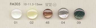 FM305 Bottoni In Poliestere Con Conchiglia DAIYA BUTTONS