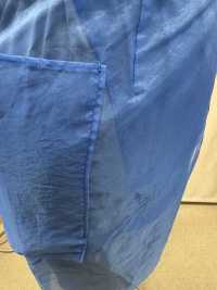 FW400 Sapple Organza[Tessile / Tessuto] Suncorona Oda Sottofoto