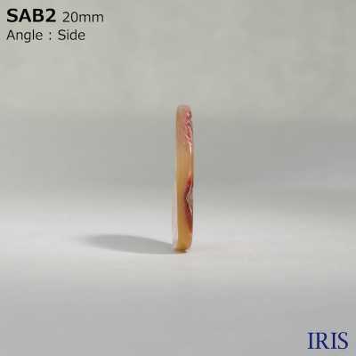 SAB2 Conchiglia In Materiale Naturale Realizzata Con Bottone Lucido A 2 Fori[Pulsante] IRIS Sottofoto