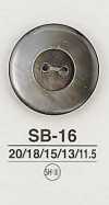 SB16 Bottone in conchiglia