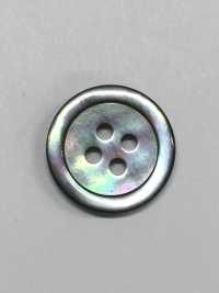 SB17 Bottone Conchiglia - Conchiglia In Madreperla -[Pulsante] IRIS Sottofoto