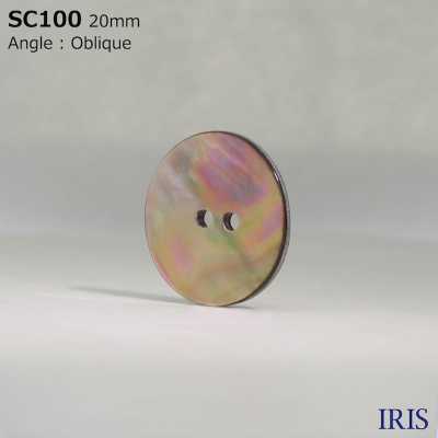 SC100 Conchiglia In Materiale Naturale Realizzata Con Bottone Lucido A 2 Fori[Pulsante] IRIS Sottofoto