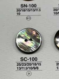 SC100 Conchiglia In Materiale Naturale Realizzata Con Bottone Lucido A 2 Fori[Pulsante] IRIS Sottofoto