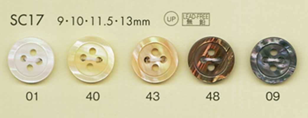 SC17 DAIYA BUTTONS Serie HYPER DURABLE resistente agli urti Bottone in poliestere stile conchiglia