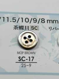 SC17 Bottone Conchiglia - Conchiglia In Madreperla -[Pulsante] IRIS Sottofoto