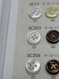 SC203 PULSANTI DAIYA Resistenti Agli Urti HYPER DURABLE &quot;&quot; Pulsante Serie Shell Like Poliestere  DAIYA BUTTON(DAIYA BUTTON) Sottofoto