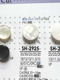 SH2925 Bottoni Perlati Per Camicie, Polo E Abiti Leggeri[Pulsante] IRIS Sottofoto