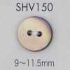 SHV150 Bottone in madreperla a 2 fori