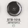 STB1018 Bottone da cucire a 4 fori in conchiglia Takase
