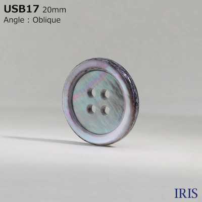 USB17 Materiale Tinto Naturale, Conchiglia In Madreperla, 4 Fori Sul Davanti, Bottoni Lucidi[Pulsante] IRIS Sottofoto