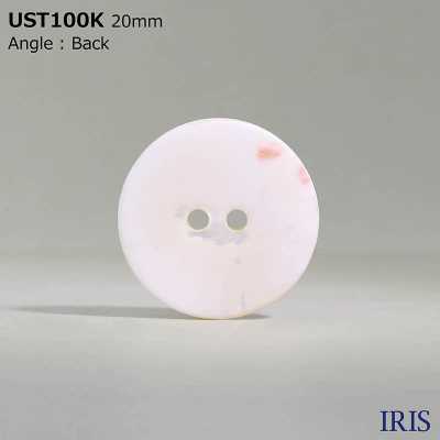 UST100K Foro Per Tavolo Di Colorazione Con Materiali Naturali Pulsante Opaco Con Conchiglia A Due Fori IRIS Sottofoto