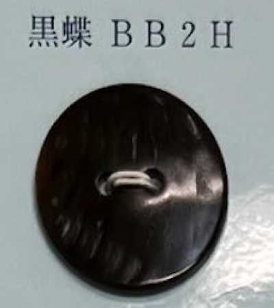 BB2H Bottone in conchiglia Black Lip senza bordo a due fori