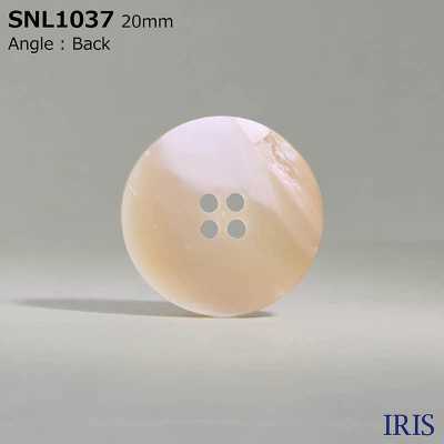SNL1037 Bottone A Conchiglia Takase A Quattro Fori In Materiali Naturali[Pulsante] IRIS Sottofoto