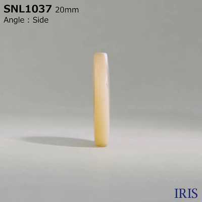 SNL1037 Bottone A Conchiglia Takase A Quattro Fori In Materiali Naturali[Pulsante] IRIS Sottofoto