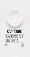 KV4880 Bottoni per camicia tinti