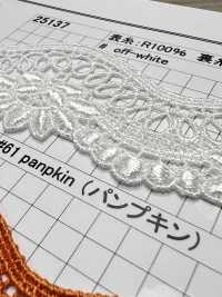 25137 Pizzo Chimico A Larghezza Ridotta Kyowa Lace Sottofoto