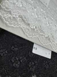 24246 Pizzo Di Tulle Kyowa Lace Sottofoto