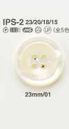 IPS2 Bottone effetto conchiglia