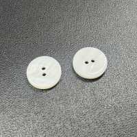 WB127 Bottone A Conchiglia D