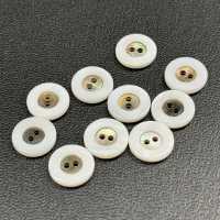 WB127 Bottone A Conchiglia D