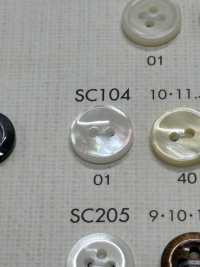 SC104 PULSANTI DAIYA Resistenti Agli Urti HYPER DURABLE &quot;&quot; Pulsante Serie Shell Like Poliestere  DAIYA BUTTON(DAIYA BUTTON) Sottofoto