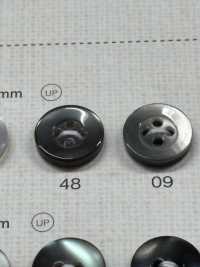 NRS18 BOTTONI DAIYA Bottone In Poliestere Tono Conchiglia[Pulsante] DAIYA BUTTON(DAIYA BUTTON) Sottofoto