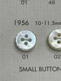 1956 BOTTONI DAIYA Bottone In Poliestere Tono Conchiglia[Pulsante] DAIYA BUTTON(DAIYA BUTTON) Sottofoto