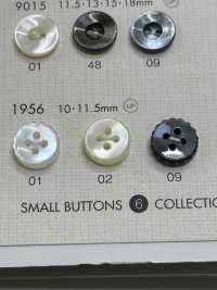 1956 BOTTONI DAIYA Bottone In Poliestere Tono Conchiglia[Pulsante] DAIYA BUTTON(DAIYA BUTTON) Sottofoto