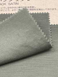 BD6101 Raso Di Cotone E Lino Sul Retro Chiaro[Tessile / Tessuto] COSMO TEXTILE Sottofoto