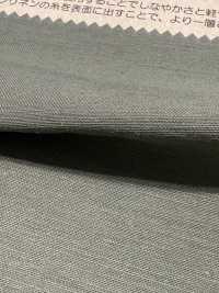 BD6101 Raso Di Cotone E Lino Sul Retro Chiaro[Tessile / Tessuto] COSMO TEXTILE Sottofoto