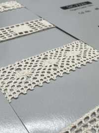 SIC-7262 Pizzo Di Torsione In Cotone Biologico/15 Mm SHINDO(SIC) Foto secondaria