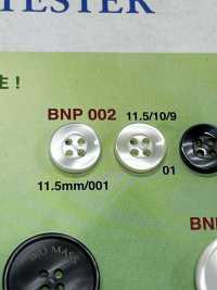 BNP-002 Bottone A 4 Fori In Biopoliestere[Pulsante] IRIS Sottofoto