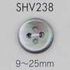 SHV238 Bottone in madreperla a quattro fori