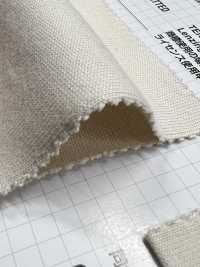 405 30// Cotone, Tencel &#39; Jersey; Tessuto A T In Fibra Modale (Funzione UV)[Tessile / Tessuto] VANCET Sottofoto
