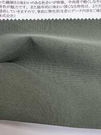 43286 Nylon Taslan Oxford Oni Veggie[Tessile / Tessuto] SUNWELL Sottofoto