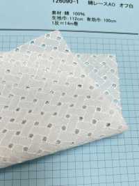T26090-1 Pizzo Di Cotone AO Bianco Sporco[Tessile / Tessuto] Kyowa Lace Sottofoto