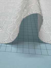 T26088-1 Pizzo Di Cotone AO Bianco Sporco[Tessile / Tessuto] Kyowa Lace Sottofoto