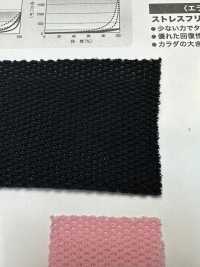 AP41790 Tipo Di Maglia In Tessuto Elasticizzato[Tessile / Tessuto] Tratto Del Giappone Sottofoto