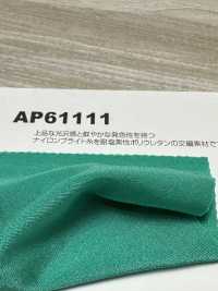 AP61111 Tessuto Elasticizzato Con Filo Brillante[Tessile / Tessuto] Tratto Del Giappone Sottofoto