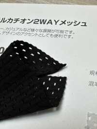 AST31109 Rete 2WAY Catione In Poliestere[Tessile / Tessuto] Tratto Del Giappone Sottofoto