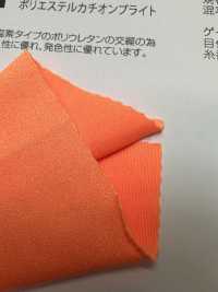 AP61491 Catione Poliestere Brillante[Tessile / Tessuto] Tratto Del Giappone Sottofoto