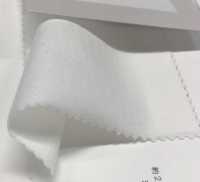 6520 20 / CLEANSE Cotone Tianzhu[Tessile / Tessuto] Fujisaki Textile Sottofoto