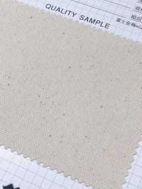 8080 Fuji Kinume Cotton Canvas No. 8 Hard Resin Water Repellent Finish[Tessile / Tessuto] Prugna D
