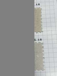 K1420 Fujikinbai Cotton 10/8 Oxford Generation Raffinazione[Tessile / Tessuto] Prugna D