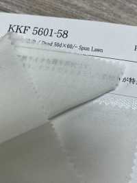 KKF5601-58 Larghezza Ampia × 60/larghezza Per Prato Filato[Tessile / Tessuto] Uni Textile Sottofoto